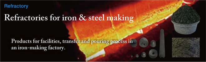 Refractories for iron & steel making